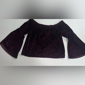 velvet whimsigoth plum purple bell sleeved flowy shirt